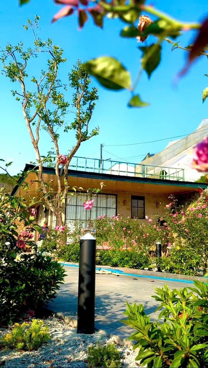 Cần Bán gấp Căn Nhà Nghỉ Dưỡng view đẹp P.11, Đà Lạt 500m2 - Ảnh 2